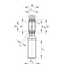 INA 杆端轴承 GAL45-DO-2RS, 根据 DIN ISO 12 240-4 标准，带左旋外螺纹，需维护，两侧唇密封