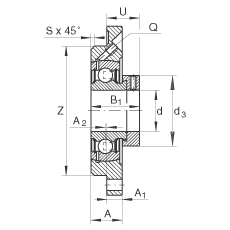 INA 轴承座单元 PME55, 带四个螺栓孔的法兰的轴承座单元，定心凸出物，铸铁，偏心锁圈，P型密封