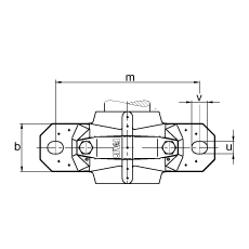 FAG 直立式轴承座 SNV200-L + 1319-M + DH319, 根据 DIN 738/DIN739 标准的主要尺寸，剖分，带圆柱孔和紧定套的自调心球轴承，双唇密封，脂和油润滑